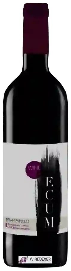 Bodegas Quinta de Aves - Ecum Tempranillo