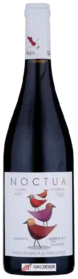 Bodegas Quinta de Aves - Noctua Ensamblaje Bodegas Quinta de Aves - Noctua Ensamblaje
