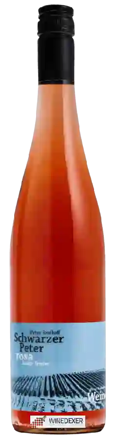 Winery Peter Rudloff - Schwarzer Peter Rosa Junge Triebe