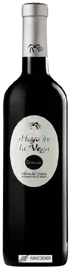 Bodegas Valle de Monzon - Hoyo de la Vega Crianza