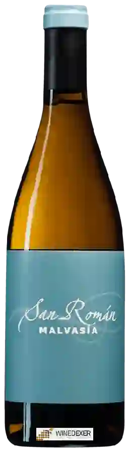 Bodegas San Román - Malvasia