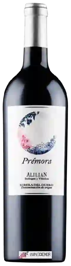 Bodegas Y Vinedos Alilian - Prémora Bodegas Y Vinedos Alilian - Prémora