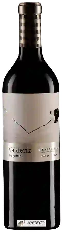 Winery Valderiz - Juegabolos Winery Valderiz - Juegabolos