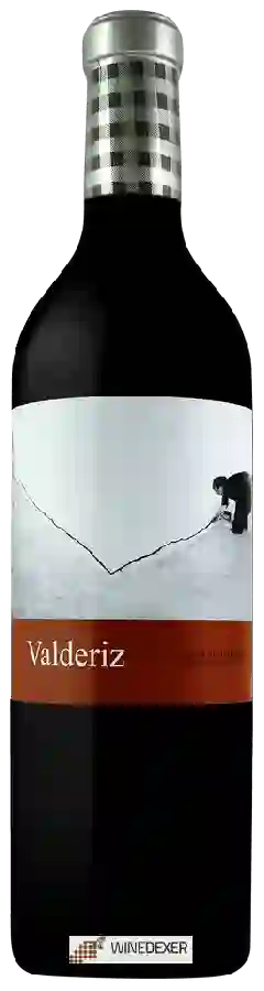 Winery Valderiz - Tinto
