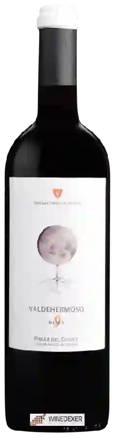 Winery Valderiz - Valdehermoso 9 Meses