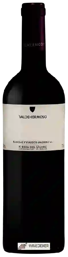 Winery Valderiz - Valdehermoso