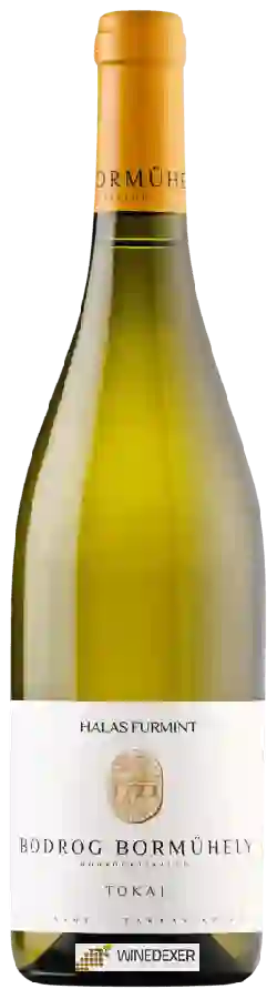 Winery Bodrog Borműhely - Halas Furmint