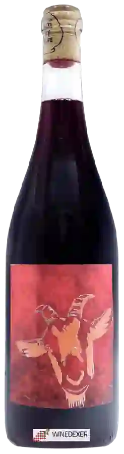 Winery Bojo do Luar - Deu Bode