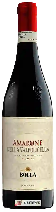 Winery Bolla - Amarone della Valpolicella Classico