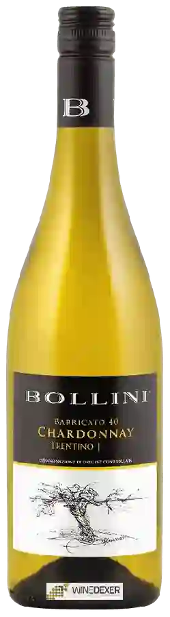 Winery Bollini - Barricato 40 Chardonnay Winery Bollini - Barricato 40 Chardonnay