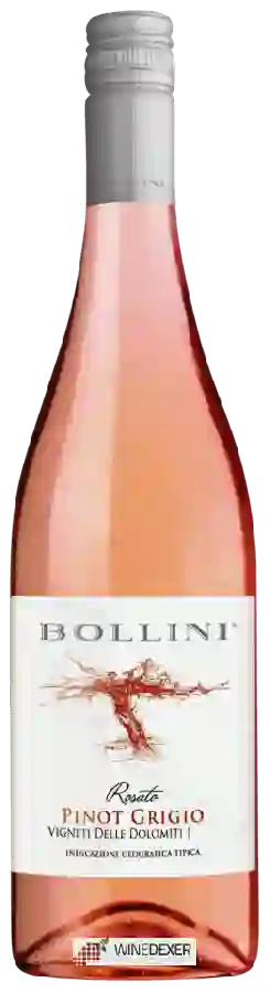 Winery Bollini - Pinot Grigio Rosato Winery Bollini - Pinot Grigio Rosato