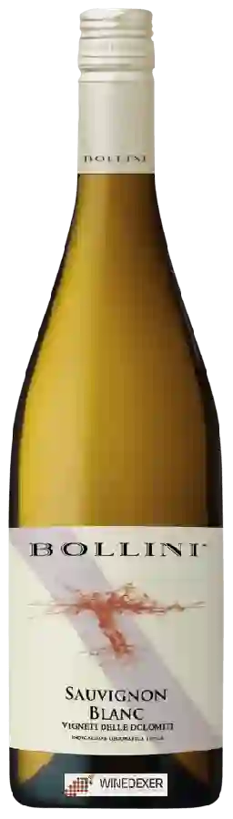 Winery Bollini - Sauvignon Blanc Winery Bollini - Sauvignon Blanc