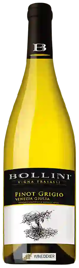 Winery Bollini - Vigna Trasassi Pinot Grigio Winery Bollini - Vigna Trasassi Pinot Grigio