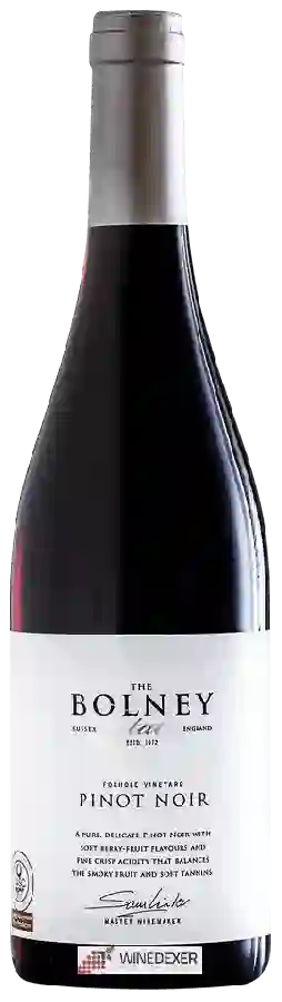 Winery Bolney Wine Estate - Foxhole Vineyard Pinot Noir