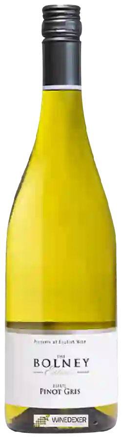 Winery Bolney Wine Estate - Pinot Gris