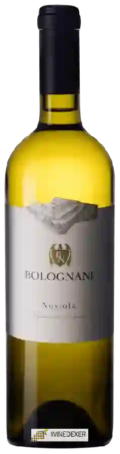 Winery Bolognani - Nosiola Winery Bolognani - Nosiola