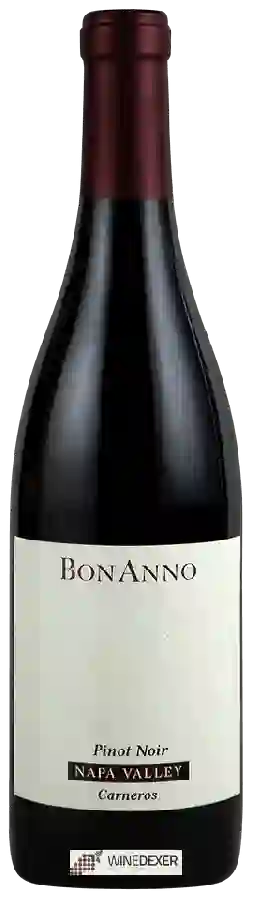 Winery BonAnno (Bon Anno) - Pinot Noir