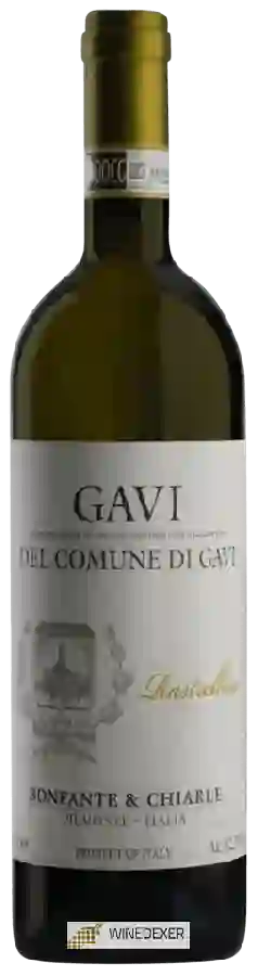 Winery Bonfante & Chiarle - Rastrellino Gavi del Comune di Gavi Winery Bonfante & Chiarle - Rastrellino Gavi del Comune di Gavi