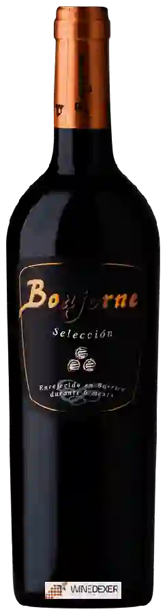 Winery Bonjorne - Selección Winery Bonjorne - Selección