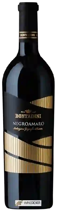 Winery Bontadini - Negroamaro Winery Bontadini - Negroamaro