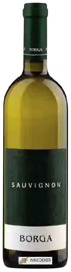 Winery Borga - Sauvignon