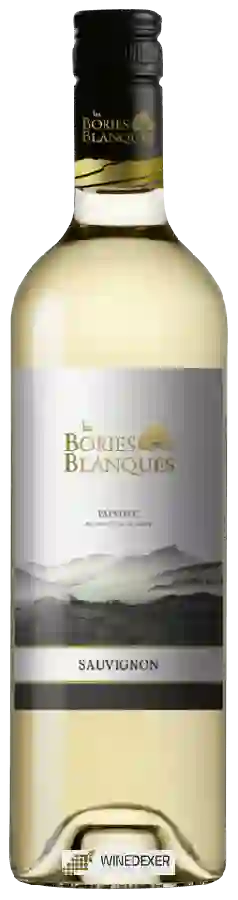 Winery Les Bories Blanques - Sauvignon