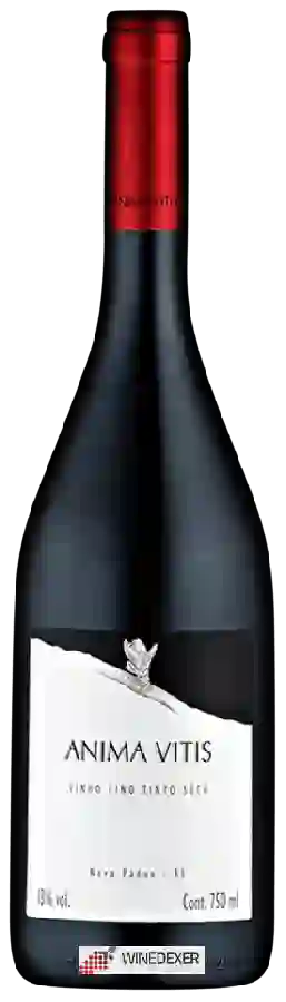 Winery Boscato - Anima Vitis