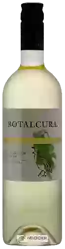 Winery Botalcura - Codorniz  Sauvignon Blanc