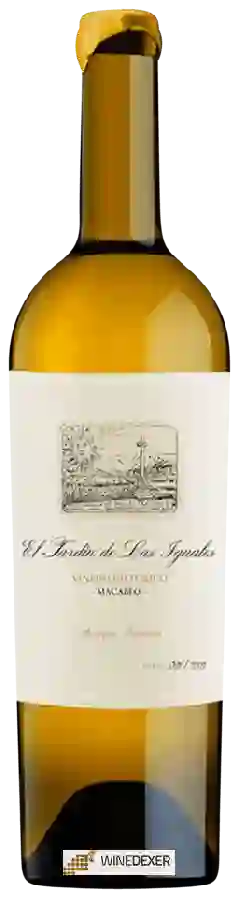 Winery Botijo Rojo - El Jardín de las Iguales Viñedo Historic Macabeo