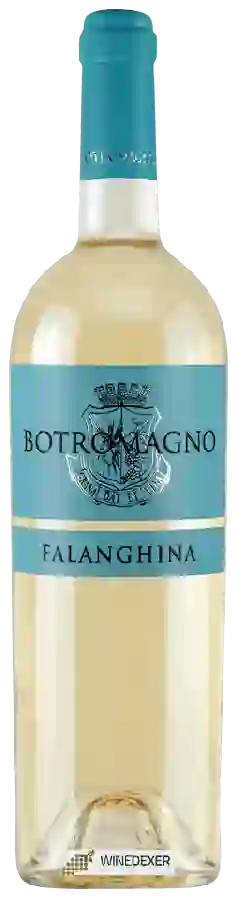 Winery Botromagno - Falanghina Winery Botromagno - Falanghina