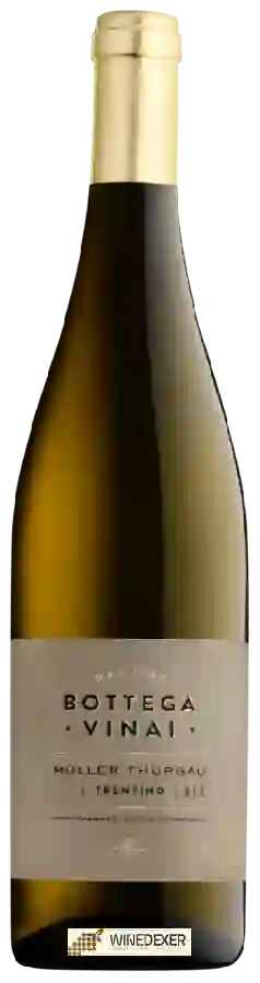 Winery Bottega Vinai - Müller Thurgau Winery Bottega Vinai - Müller Thurgau