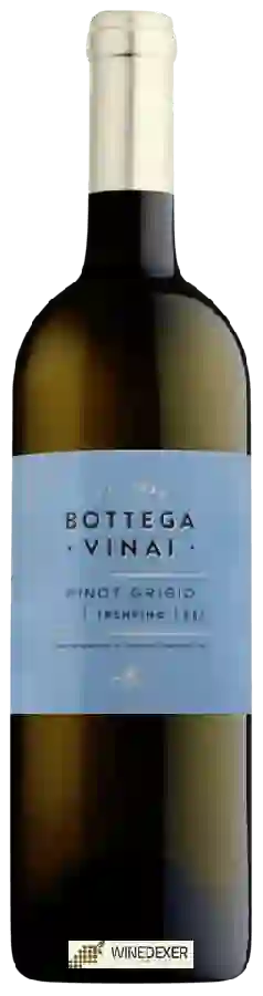 Winery Bottega Vinai - Pinot Grigio