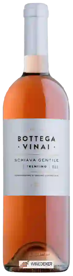 Winery Bottega Vinai - Schiava Gentile