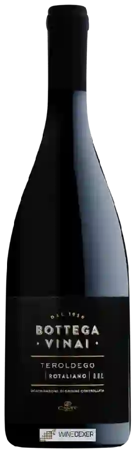 Winery Bottega Vinai - Teroldego Rotaliano Winery Bottega Vinai - Teroldego Rotaliano