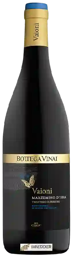 Winery Bottega Vinai - Vaioni Marzemino d'Isera Superiore