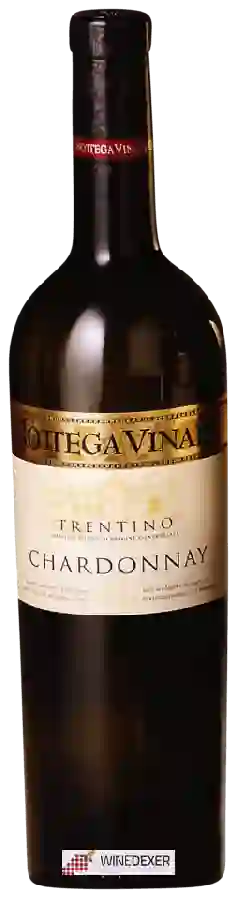 Winery Bottega Vinaia - Chardonnay Winery Bottega Vinaia - Chardonnay