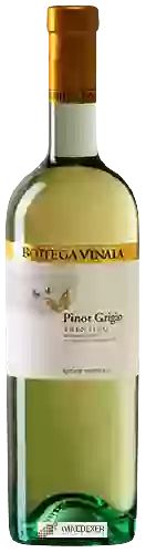 Winery Bottega Vinaia - Pinot Grigio