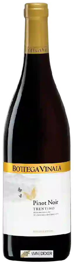 Winery Bottega Vinaia - Pinot Nero