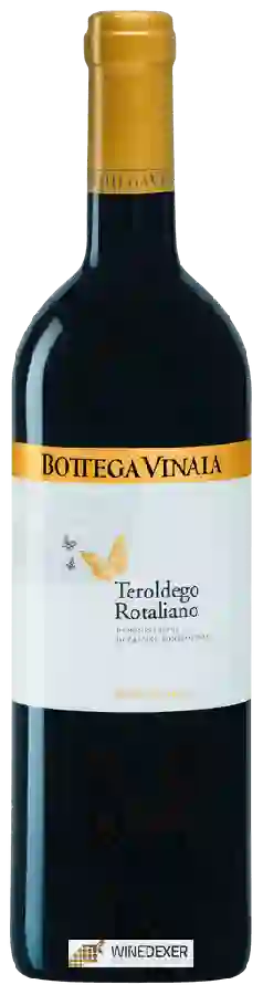 Winery Bottega Vinaia - Teroldego Rotaliano