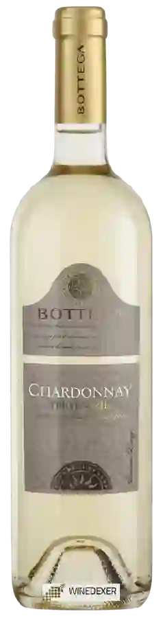 Winery Bottega - Chardonnay Trevenezie