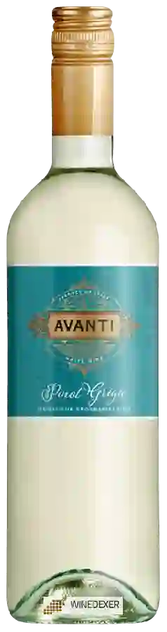 Winery Botter - Avanti Pinot Grigio