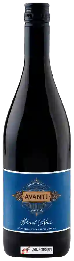 Winery Botter - Avanti Pinot Noir delle Venezie Winery Botter - Avanti Pinot Noir delle Venezie