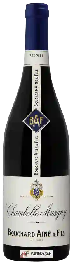 Winery Bouchard Aîné & Fils - Chambolle-Musigny