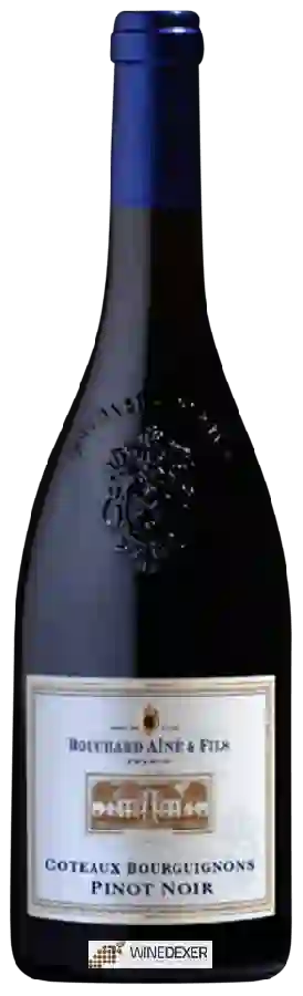 Winery Bouchard Aîné & Fils - Pinot Noir Coteaux Bourguignons