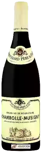 Winery Bouchard Père & Fils - Chambolle-Musigny