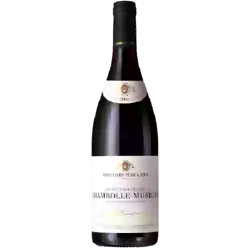 Winery Bouchard Père & Fils - Domaines du Chateau de Beaune Chambolle-Musigny