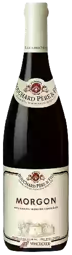 Winery Bouchard Père & Fils - Morgon