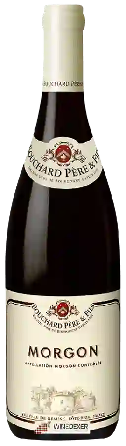Winery Bouchard Père & Fils - Morgon