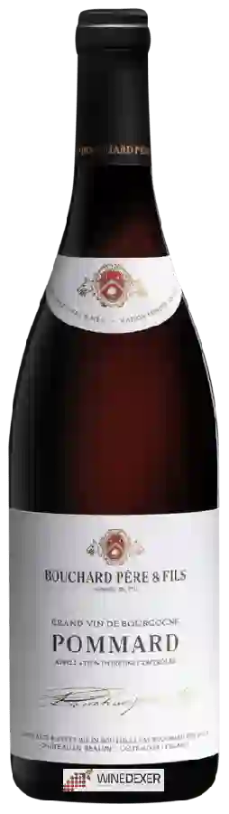 Winery Bouchard Père & Fils - Pommard Winery Bouchard Père & Fils - Pommard