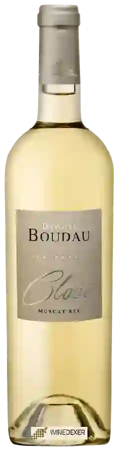 Domaine Boudau - Closi Le Petit Muscat Sec